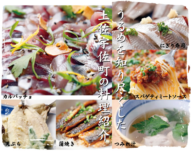 うるめ料理 宇佐もん一本釣りうるめ うるめ料理 宇佐もん一本釣りうるめ
